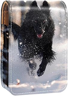 Estuche organizador de lápiz labial de viaje,...