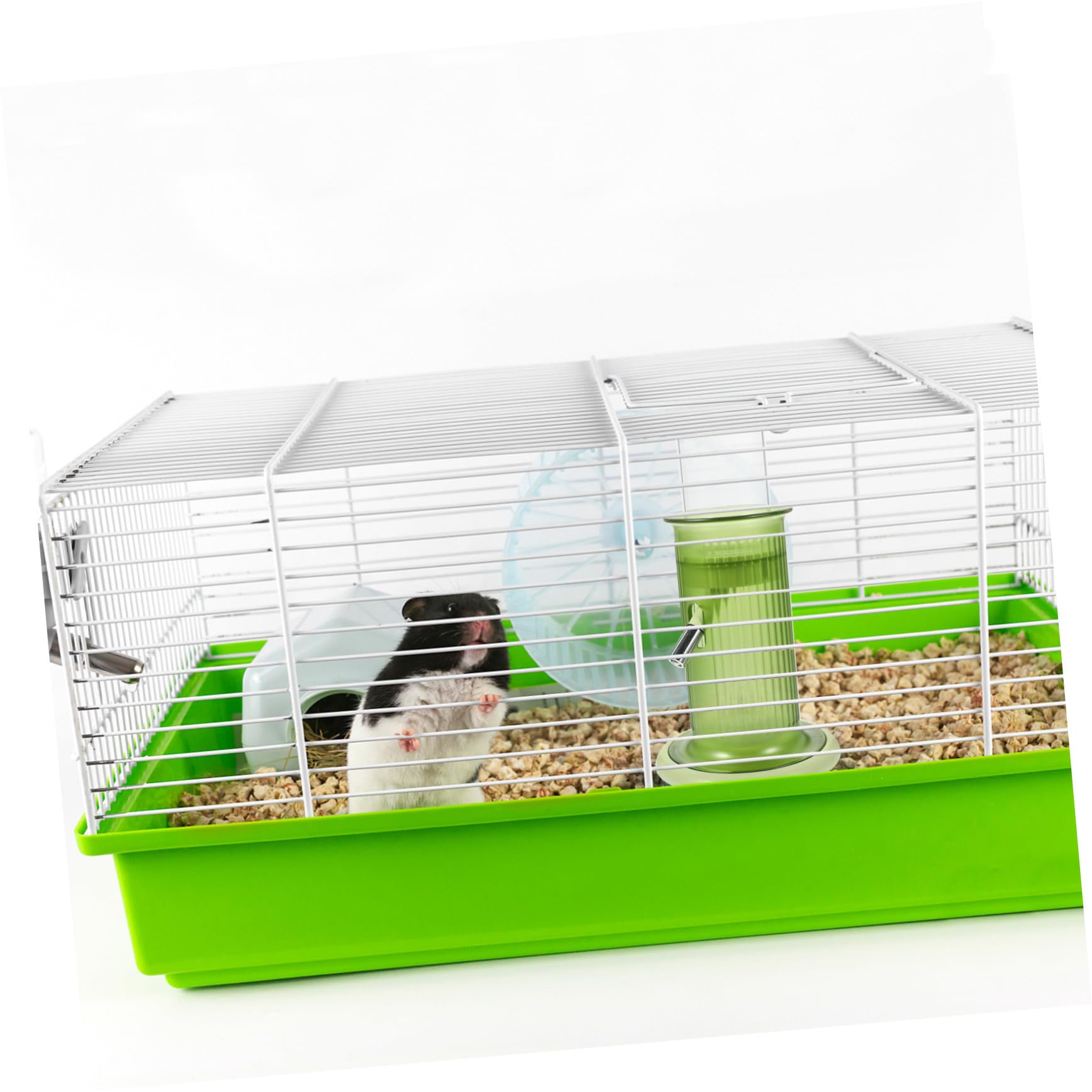 Hohopeti Distributeur d'eau Vertical pour Petits Animaux Biberon Délicat en Polypropylène Vert, Design Pratique et Facile à Utiliser, Accessoire pour Chinchillas