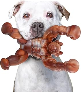 Zinbo Dog Toys for Aggressive Chewers, Indestructible Dog Toys, Toughest Nylon Dog Chew Toy with Real Bacon Flavor, Fun to Chew, Dog Bone Toys for Medium/Large Breed Dogs