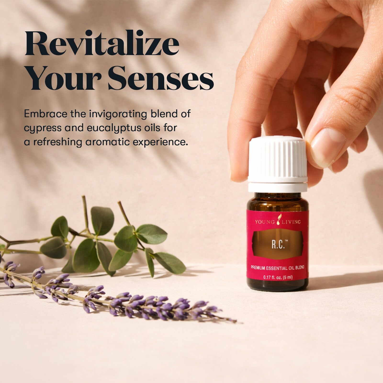 Amazon.com: Young Living R.C. Premium Essential Oil 5 ml