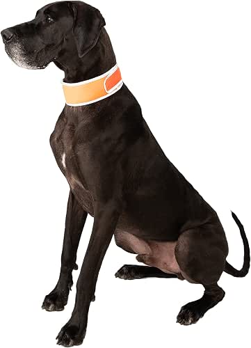 CoolerDog Hi-Vis Cooling Dog Collar for X-Large Dogs – Reflective
