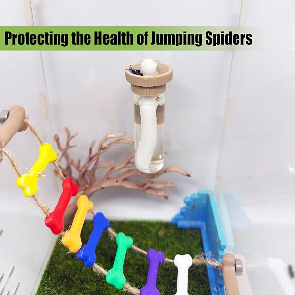 Jumping Spider Water Dispenser, Magnetic Hanging Feeder,Suitable for Jumping Spiders,Tarantulas, Praying Mantises,Arboreal Animals, and Other Small Animal Enclosure Accessories (Wood Color, 5ML) - 3
