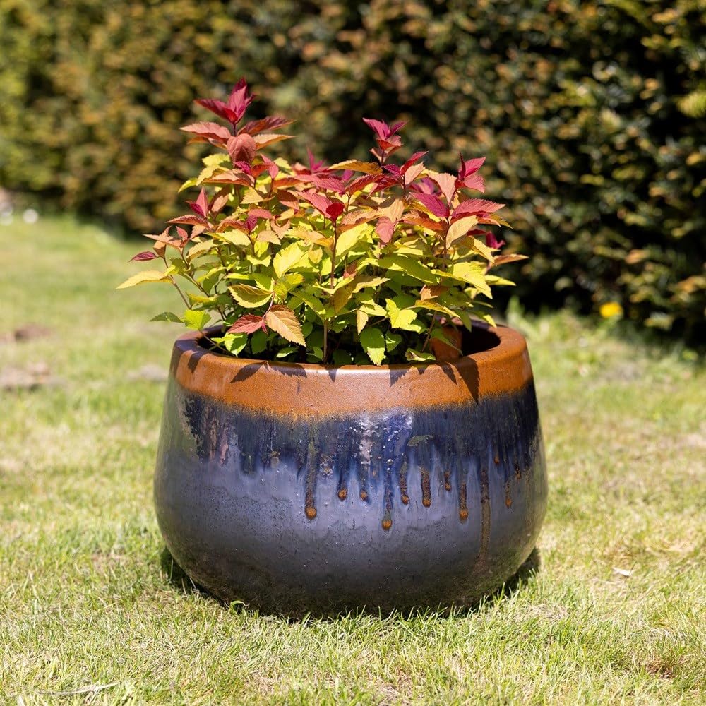Primrose Terracotta, Grey Blue H42cm Terracotta Wide Round Planter In Grey Blue Garden Patio Flower Pot