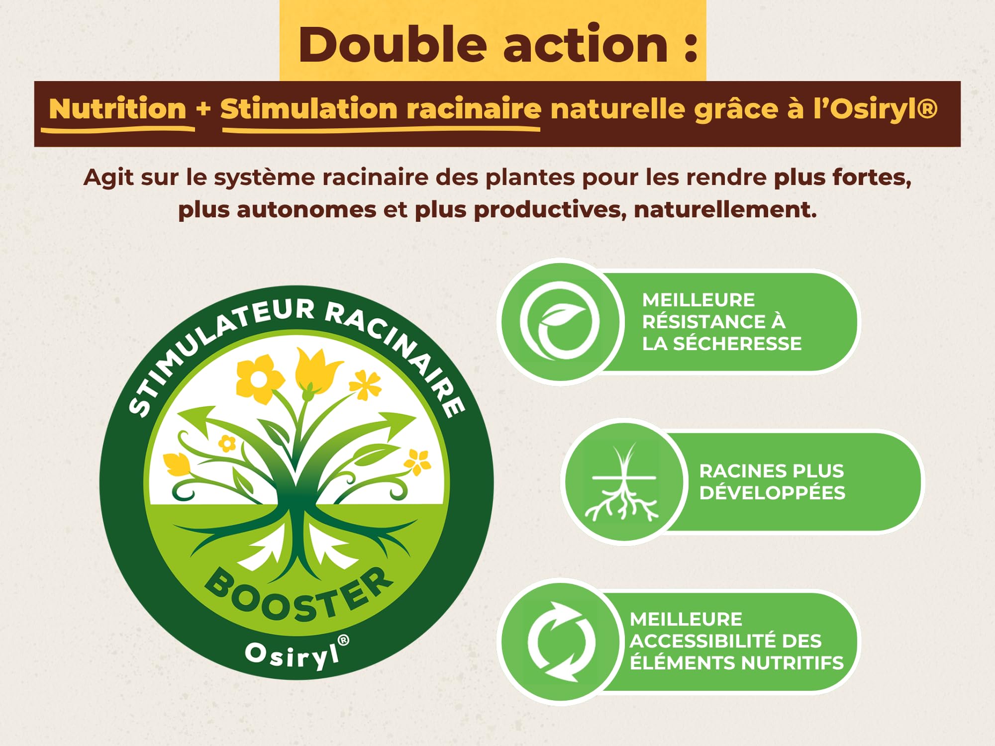 SOLABIOL Engrais Potager - 5Kg - Jusqu'à 100m² - Nutrition Longue Durée - Efficace Pour Tous Les Légumes - Bonifie Le Sol - Utilisable En Agriculture Biologique SOPOTY5B