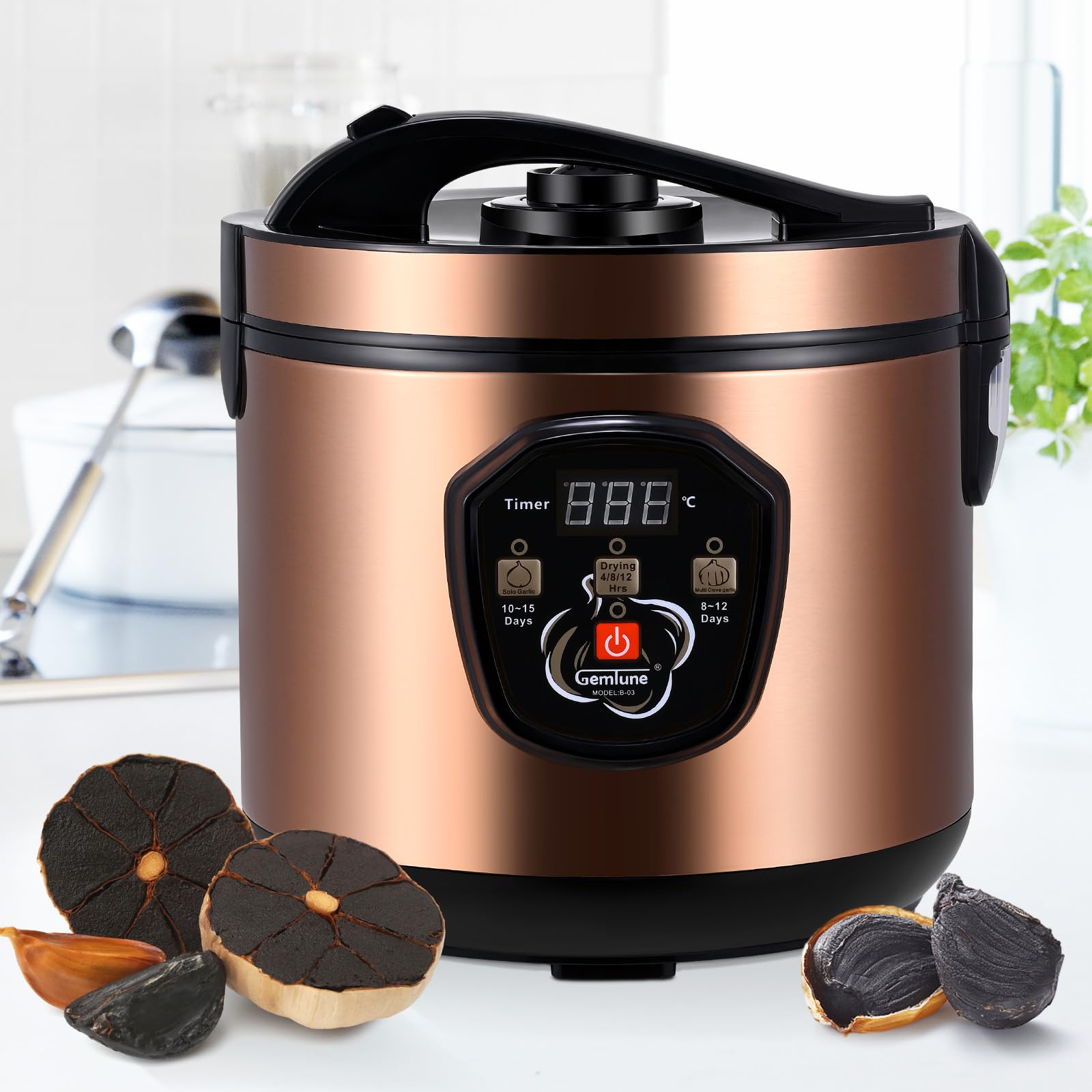 Schwarzer Knoblauch Fermenter 6L, Sunowl Joghurt Maschine, Automatische Intelligente Black Garlic Maker Schwarzer Knoblauch Fermentiert Fermentierter Knoblauch Maschine