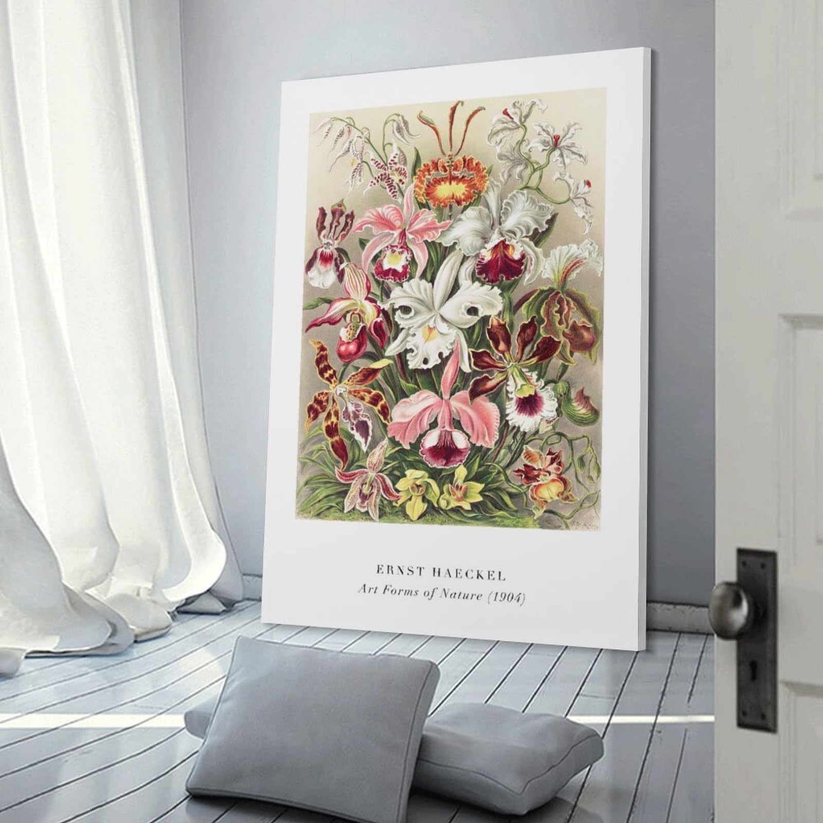 Junmoney Ernst Haeckels Orchids Art Forms of Nature Home Decor Wall Art, 24x36inch(60x90cm), for Living Room, Bedroom Or Apartment Walls, Canvas Styling for A Polished Room Look