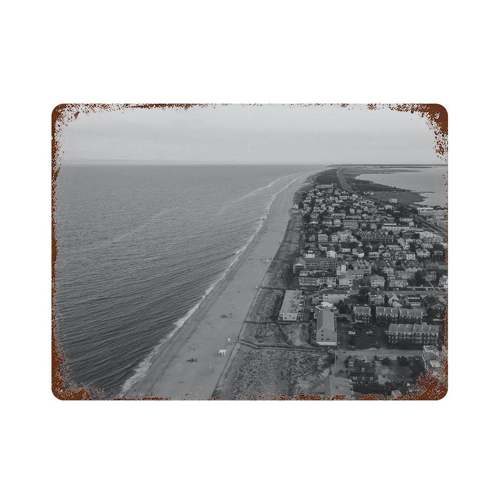 xiaoxiaoshen Black And White Delaware Photo Decor USA Wall Decor Art Metal Tin Poster Modern Home Decor Art Home Bar Shop Decorations Vintage Sign 30x40cm