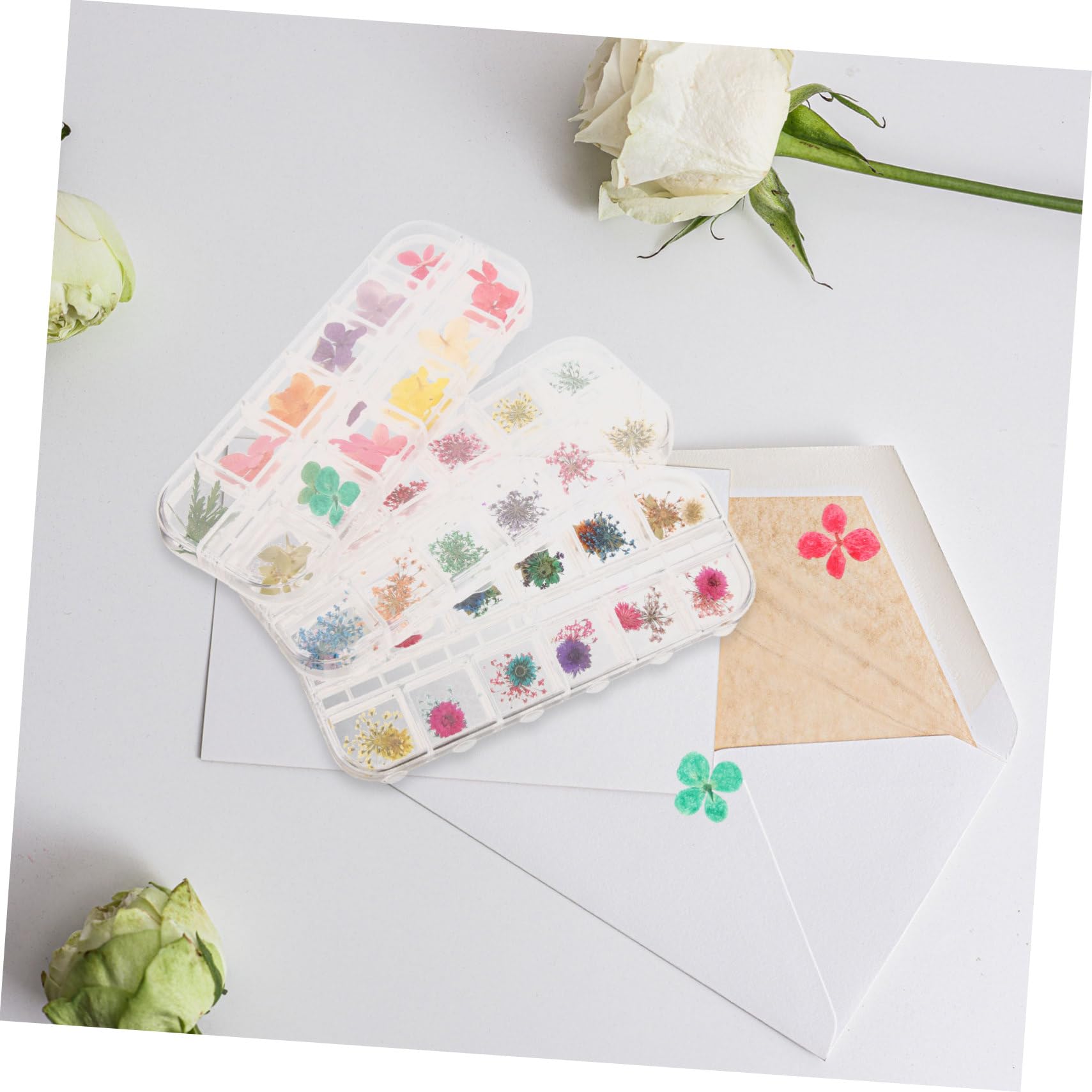 ABOOFAN 9 Cases Fleurs Séchées Remplies D'époxy Ongles De Marguerite Stickers Artisanat De Fleurs Séchées Séché Fleur Séchée Décor Floral Fleurs Séchées Naturelles