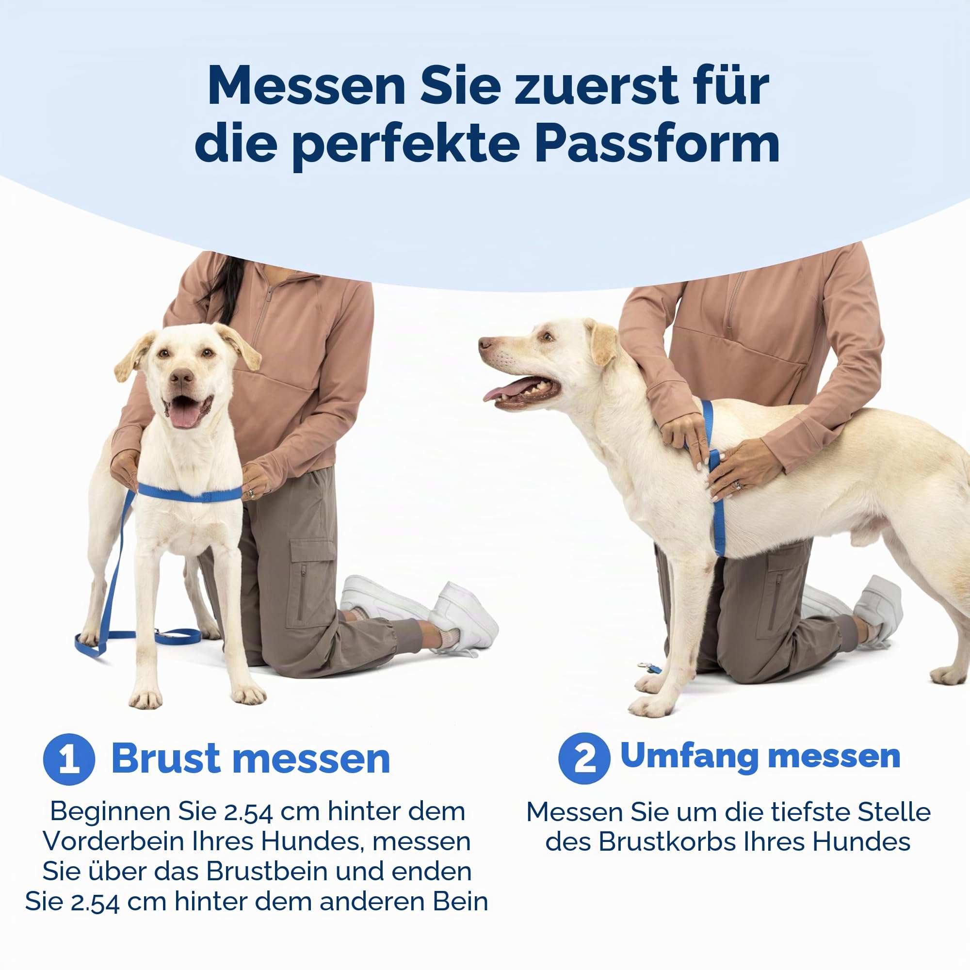 PetSafe Deluxe Easy Walk Hundegeschirr