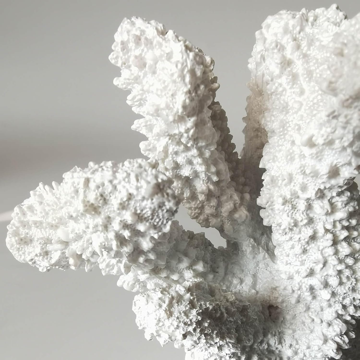 White Coral Decor Resin Sculpture, 7.1 Inch Nautical Home Accent for Shelf Tabletop or Cabinet, Stylish Beach Decor, Coastal Decor & Ocean Decor for Bedroom Living Room