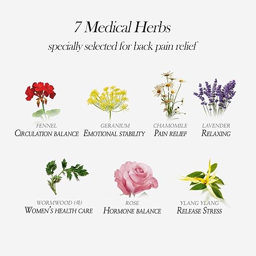 Miniatura 2 de Herborn - Parches térmicos (para cintura, 8 parches)  Alivio del dolor de espalda, 7 hierbas médicas, alas anchas