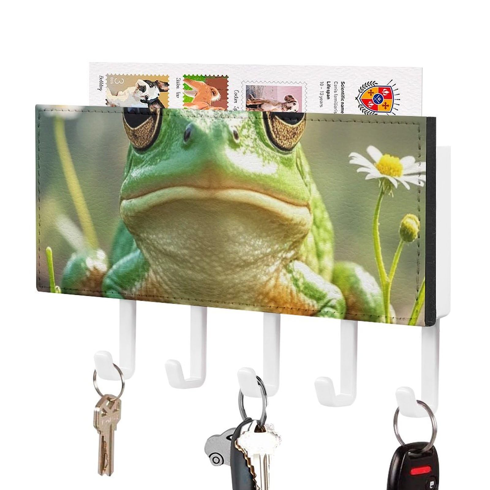 FekiLoot Cute Frog Key Holder Wall Mount Key Hanger with 5 Hooks Decorative Key Rack Hanging Key Hooks with Mail Organizer Key Holder for Wall Living Room Kitchen Bathroom Hallway White