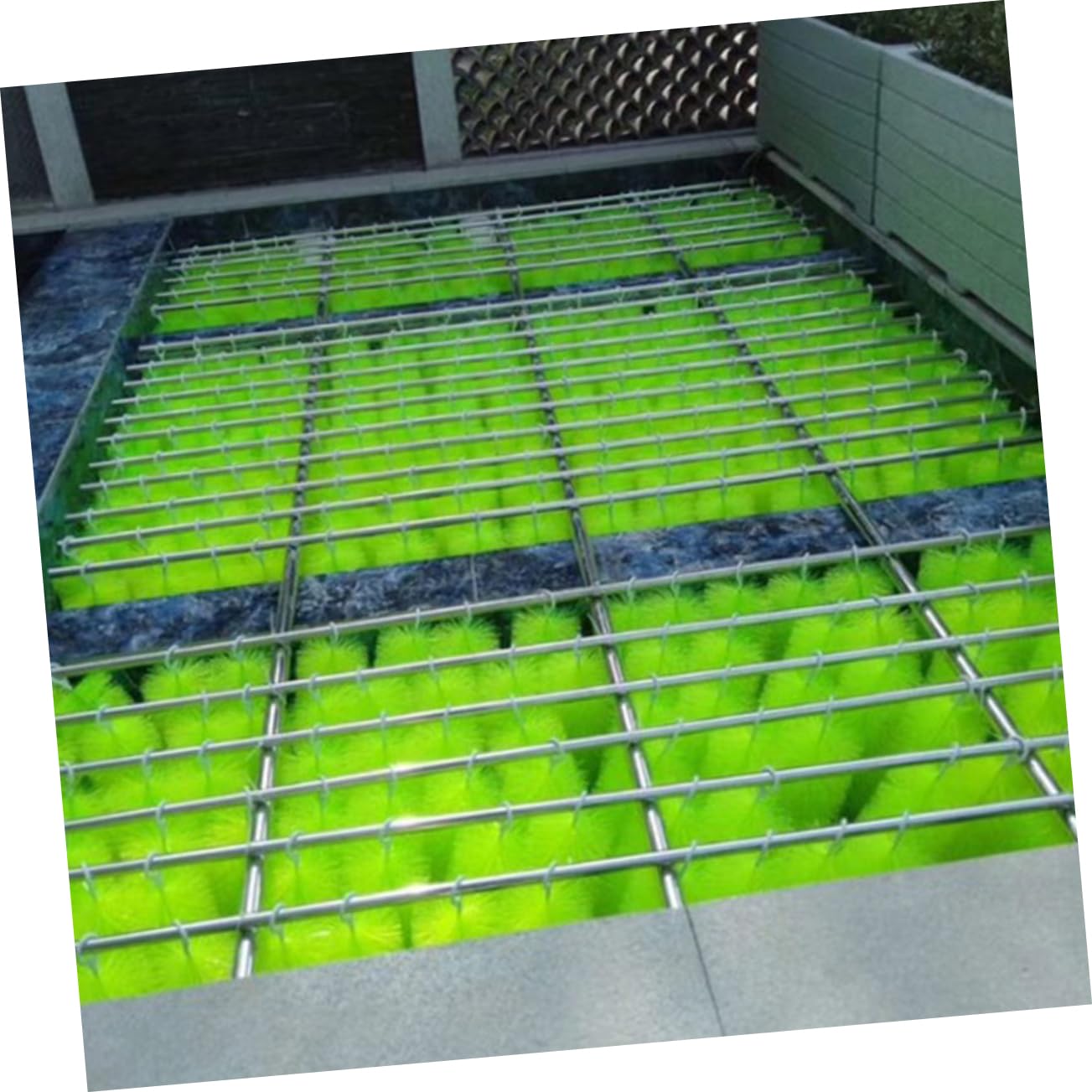 6piezas Cepillo De Filtro para Acuario Cerdas Flexibles Filtros De Acuario para Limpieza De Peceras para Mantenimiento