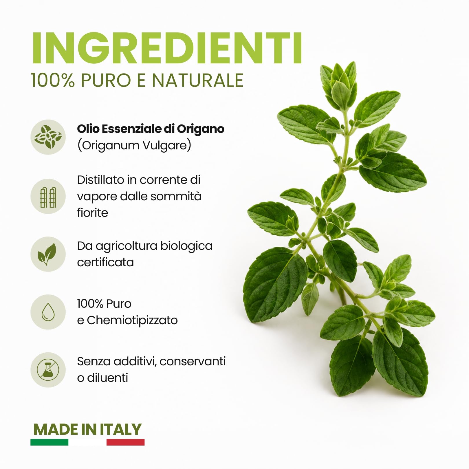 Olio Essenziale di Origano Bio 10ml, Olio di Origano Puro 100% e Naturale per Aromaterapia, Diffusori e Uso Alimentare, Made in Italy Gisa Wellness