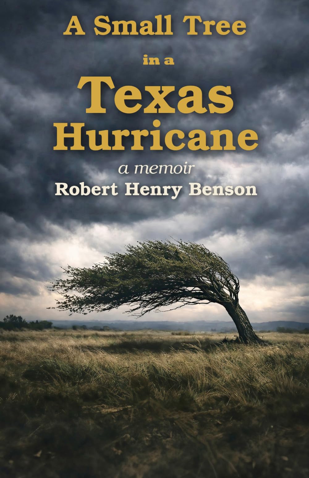 A Small Tree in a Texas Hurricane: A Memoir