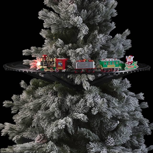Foto 3 de 3 de Tren de Navidad