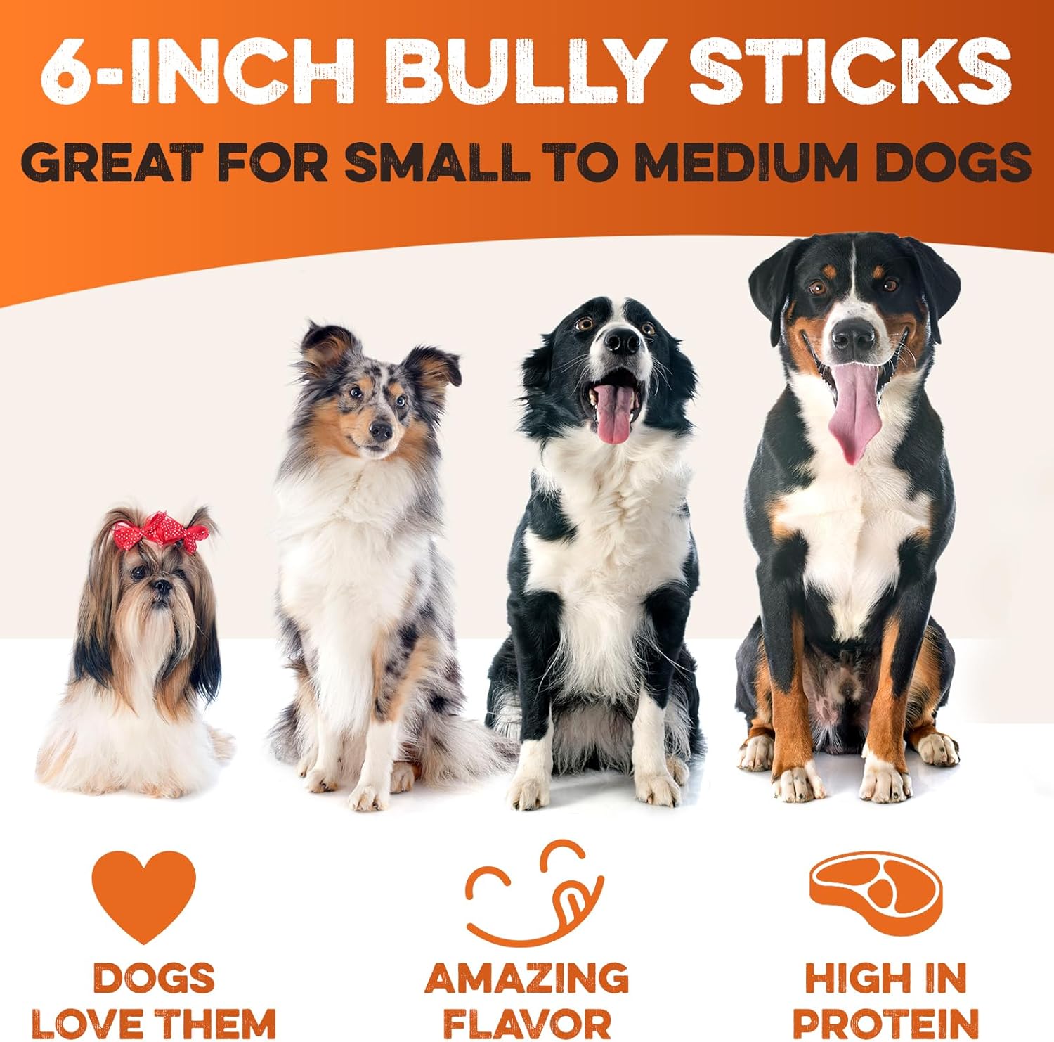 BRUTUS & BARNABY 6 Inch Bully Sticks for Dogs (12 Count) - Natural Grass-Fed Beef Chew Sticks, Odor Free, Single Ingredient, Fully Digestible, Rawhide Free - for Small, Medium & Large Dogs