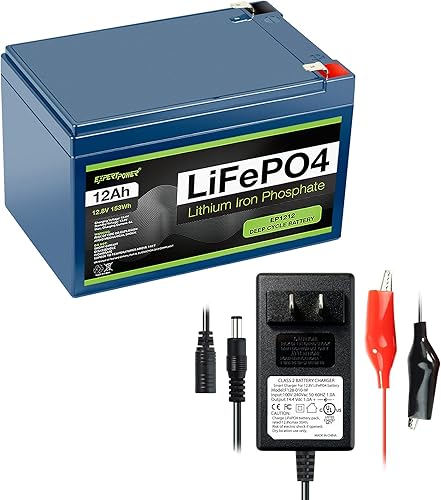 ExpertPower Batería de litio LiFePO4 de 12 V 12 Ah, cargador inteligente de 12 V 1 A | DC 5521 macho y clips de cocodrilo | Coche de juguete para