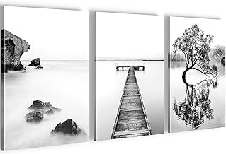 Novart Asian Zen Pictures Ready to Hang – Living Room Bedroom Wall Decoration – 3 Parts Set Black and White – N004430a