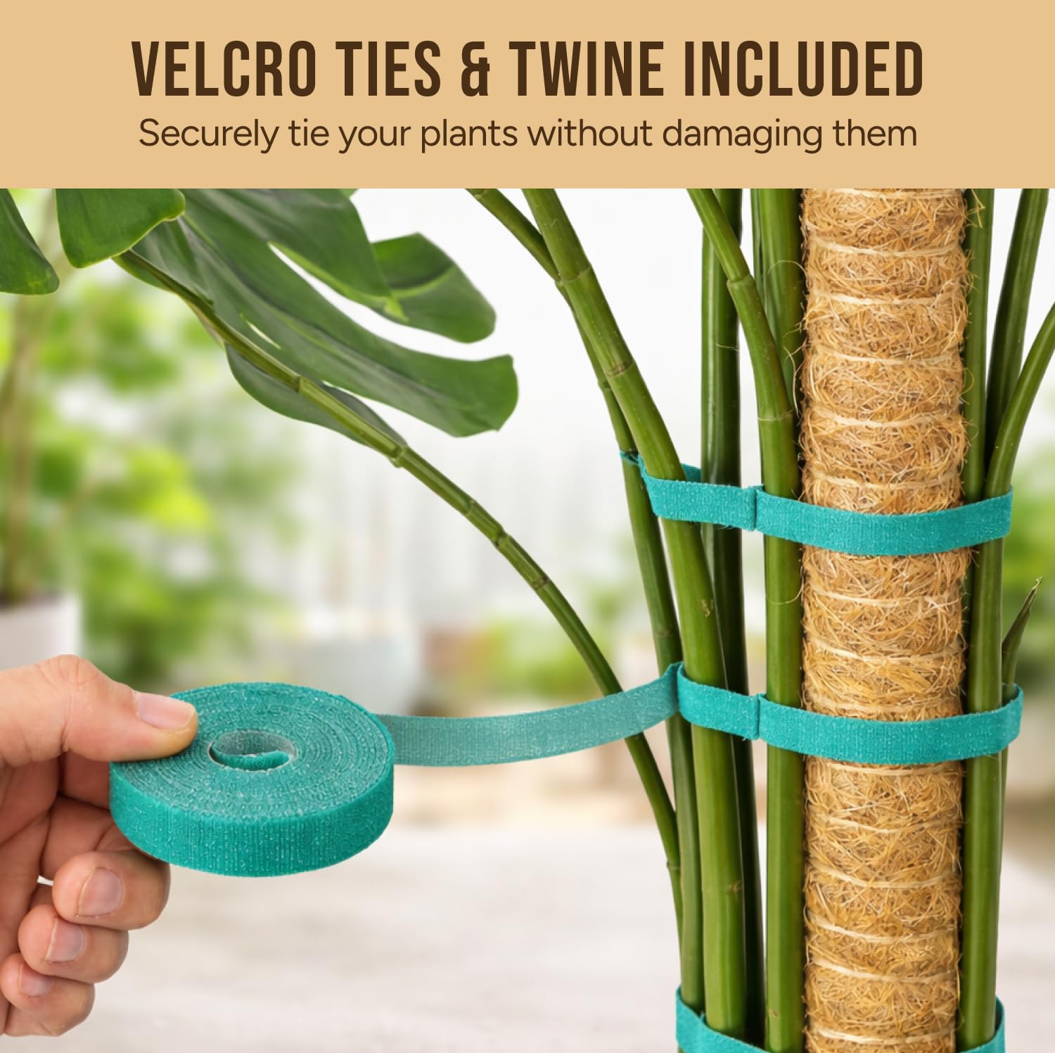 Craft911 Moss Pole - Monstera Support -3