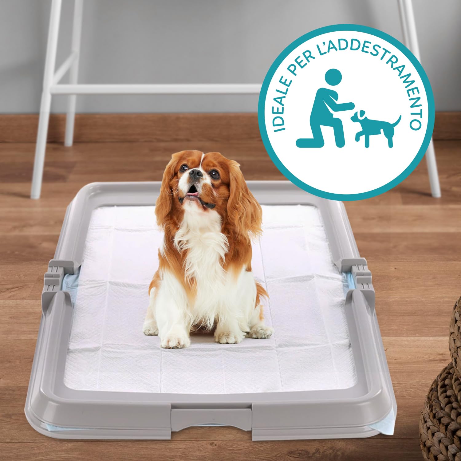 Aqpet Friends BauBox składany żwirek dla psa, składany 86 x 62 cm | tacka na maty chłodzące, idealna do szkolenia szczeniąt i użytku domowego