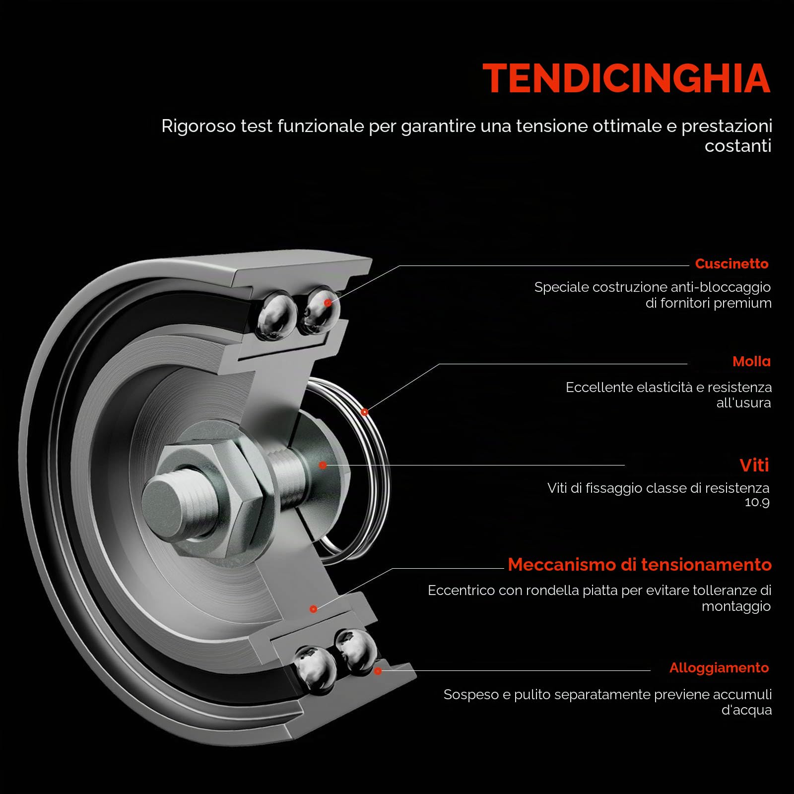 Frankberg Kit cinghia di distribuzione set cinghia di distribuzione | Compatibile con: Classe B W245, Classe A W169