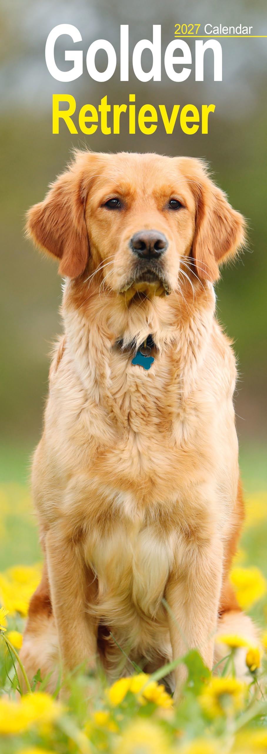 Golden Retriever Slim 2027 Calendar | Slimline Wall Calendar | Dog Breed Gift | Plastic Free Packaging | by Avonside Publishing