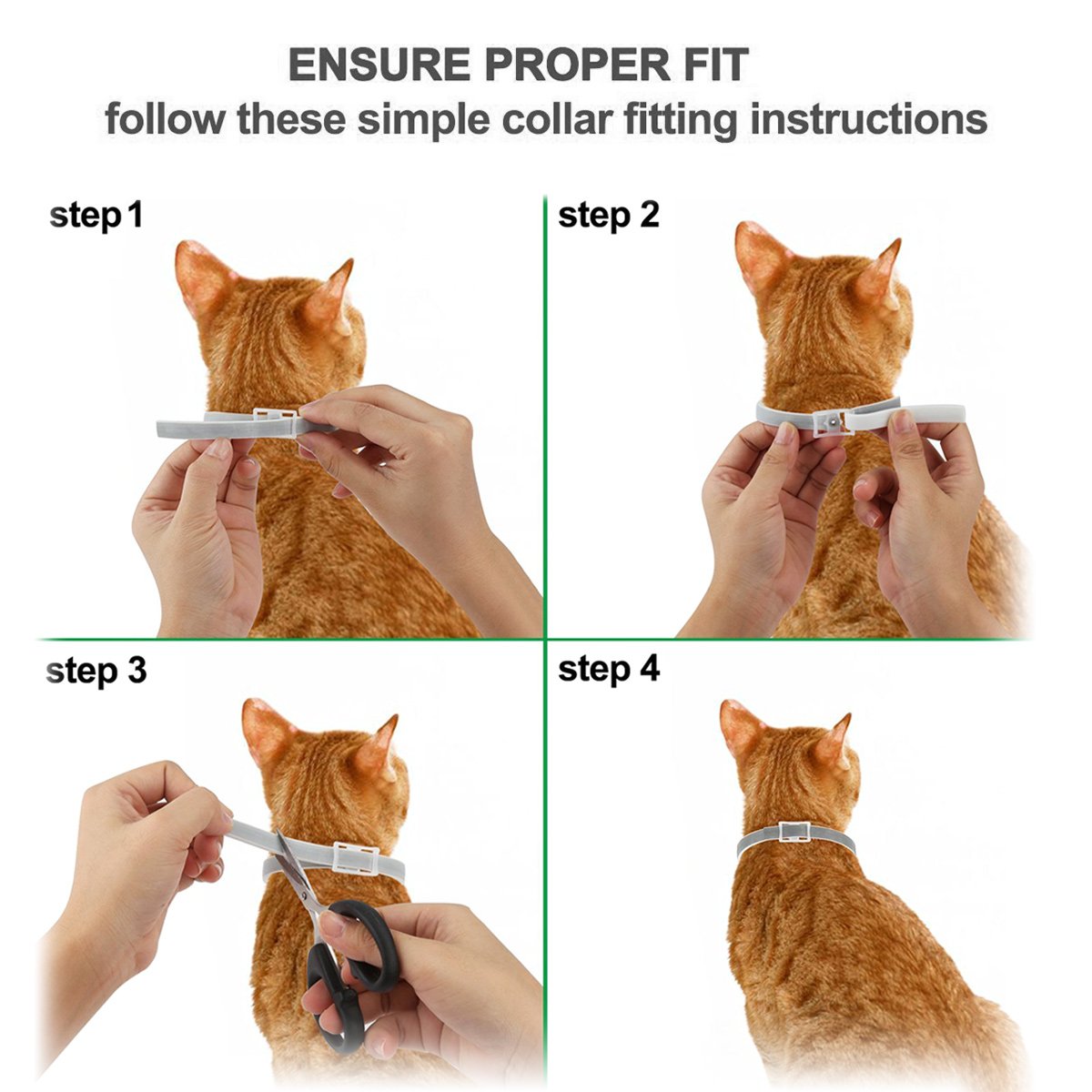 DEWEL Collar Gato contra Pulgas, Garrapatas y Mosquitos, Collar Antipulgas y Garrapatas 33 cm para Gatos y Perros Pequeños y Medianos, 8 Meses de Protección