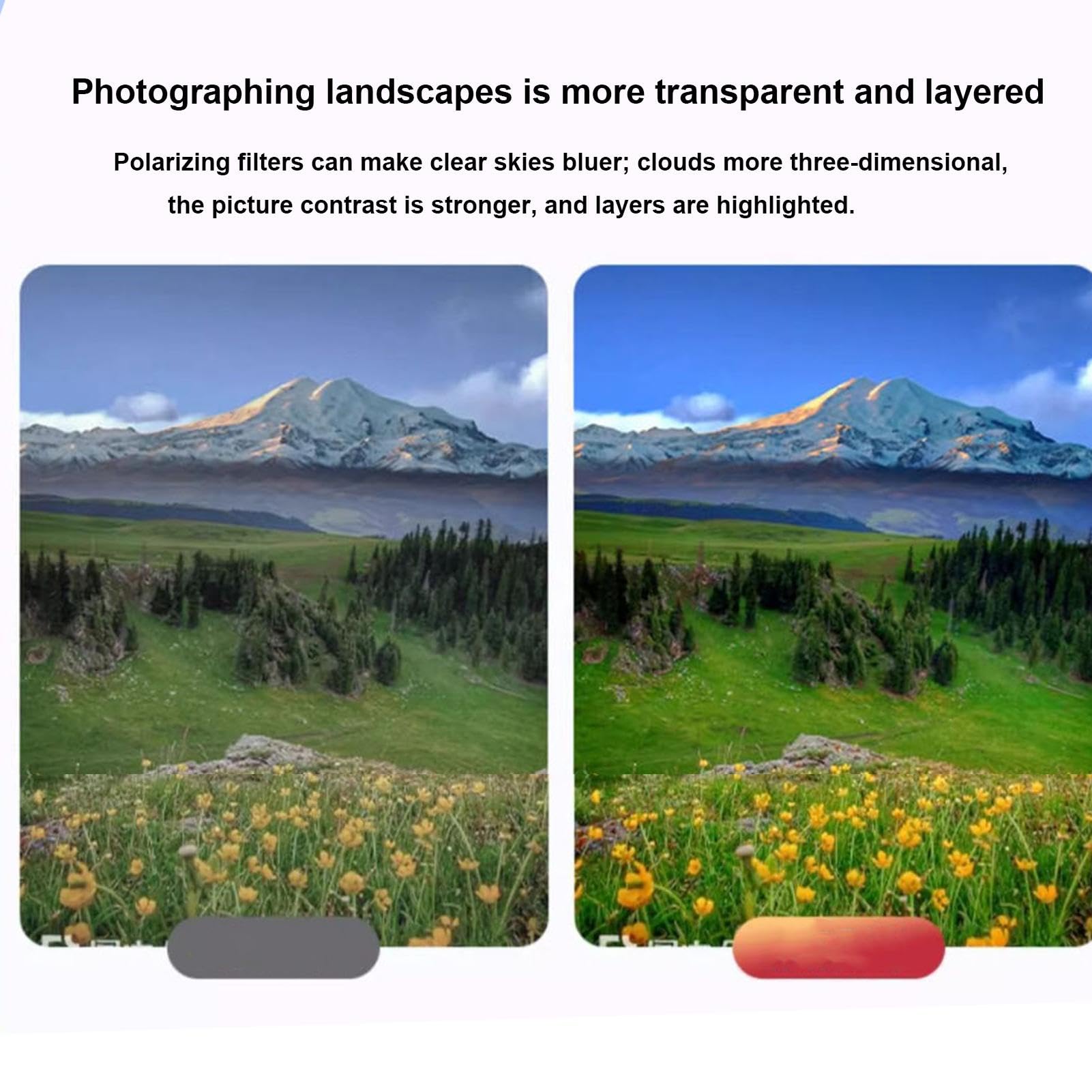 Polarisatiefilter