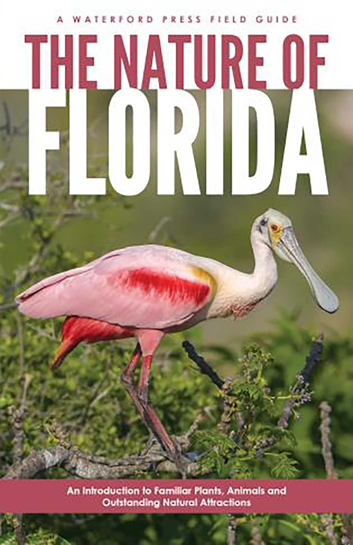 Nature of Florida, 2nd Ed (Waterford Press Field Guide)
