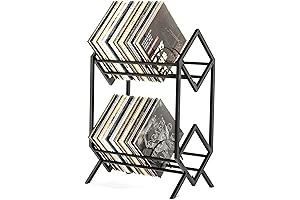 2-Tier Vinyl Record Rack: Keep Your Albums Organized with Style