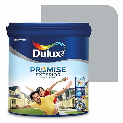 Dulux Promise Exterior Emulsion Paint (4L, Tinfoil) | Ideal for Exterior Walls | Smooth Finish | Anti-Peel & Anti-Crack | Long-Lasting Colors
