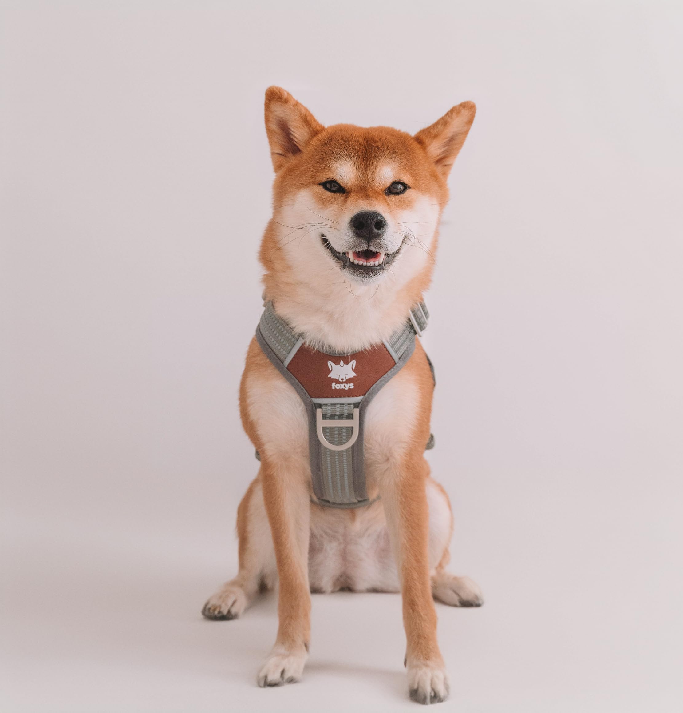 Foxys® CountryFox™ Pro, ergonomisches Hundegeschirr, robust, gepolstert, leicht und verstellbar, Grau, Größe L