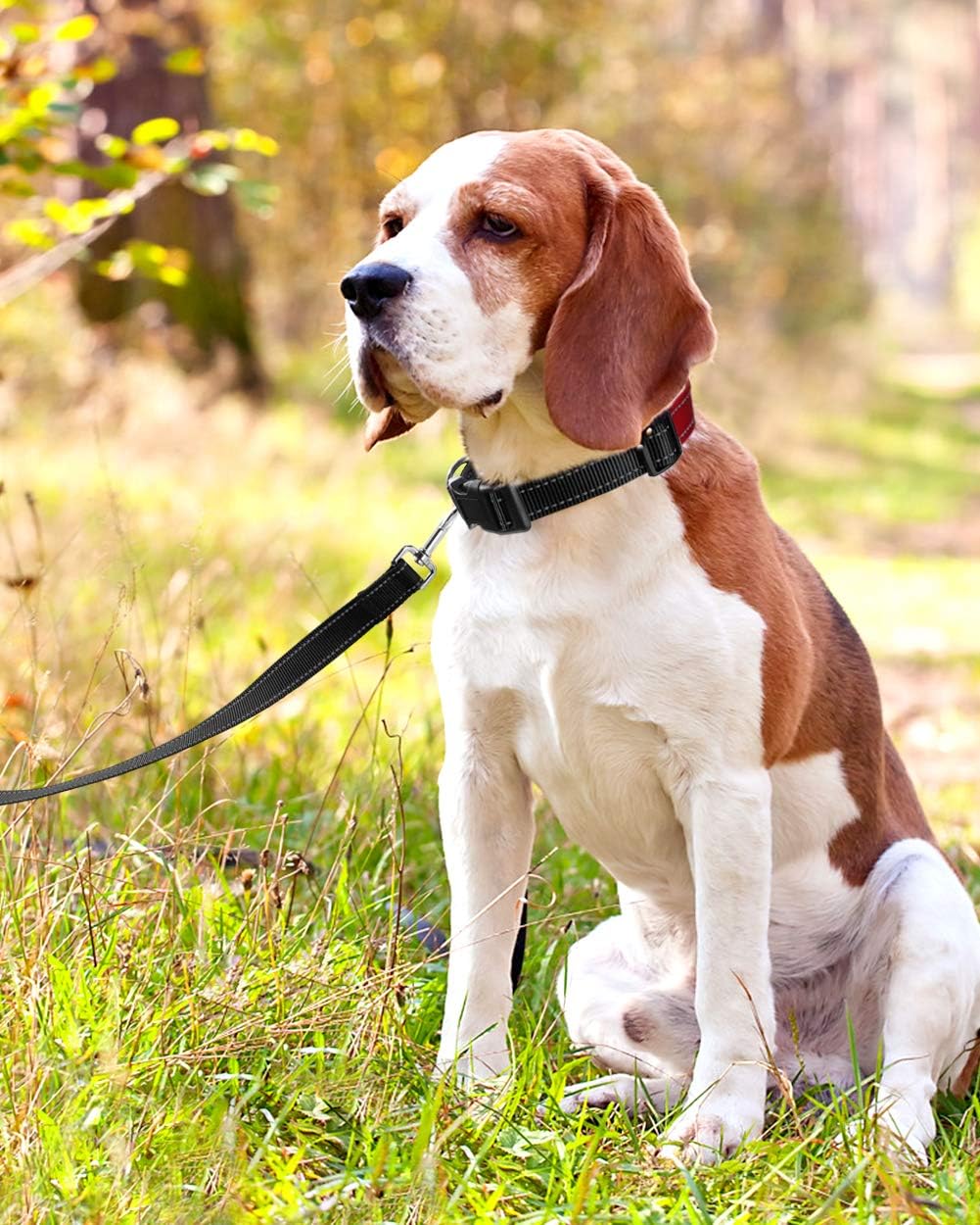 FunTags Reflective Nylon Dog Collar for Medium Dogs image 2