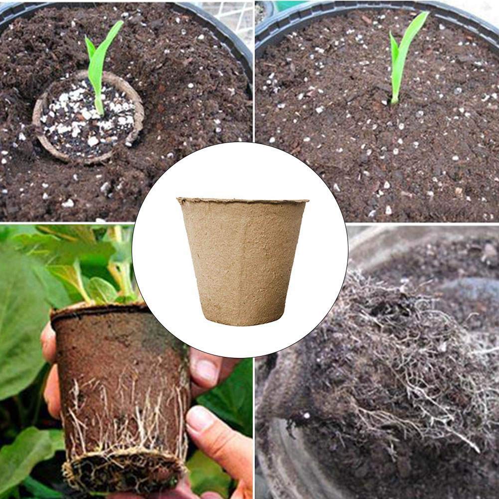 Tazas de semillas de pulpa para plantas de jardín, macetas ...
