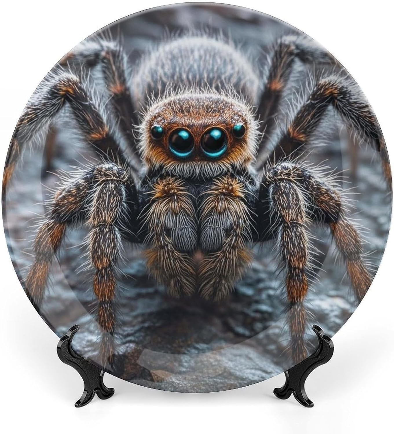 Ground Spider Ceramic Plate 10inch Decorative Bone China Wall Hanging Ornament Plates Bohemian Style Dinner Plate with Display Stand Cabinet Display Plates for Home Art Decor