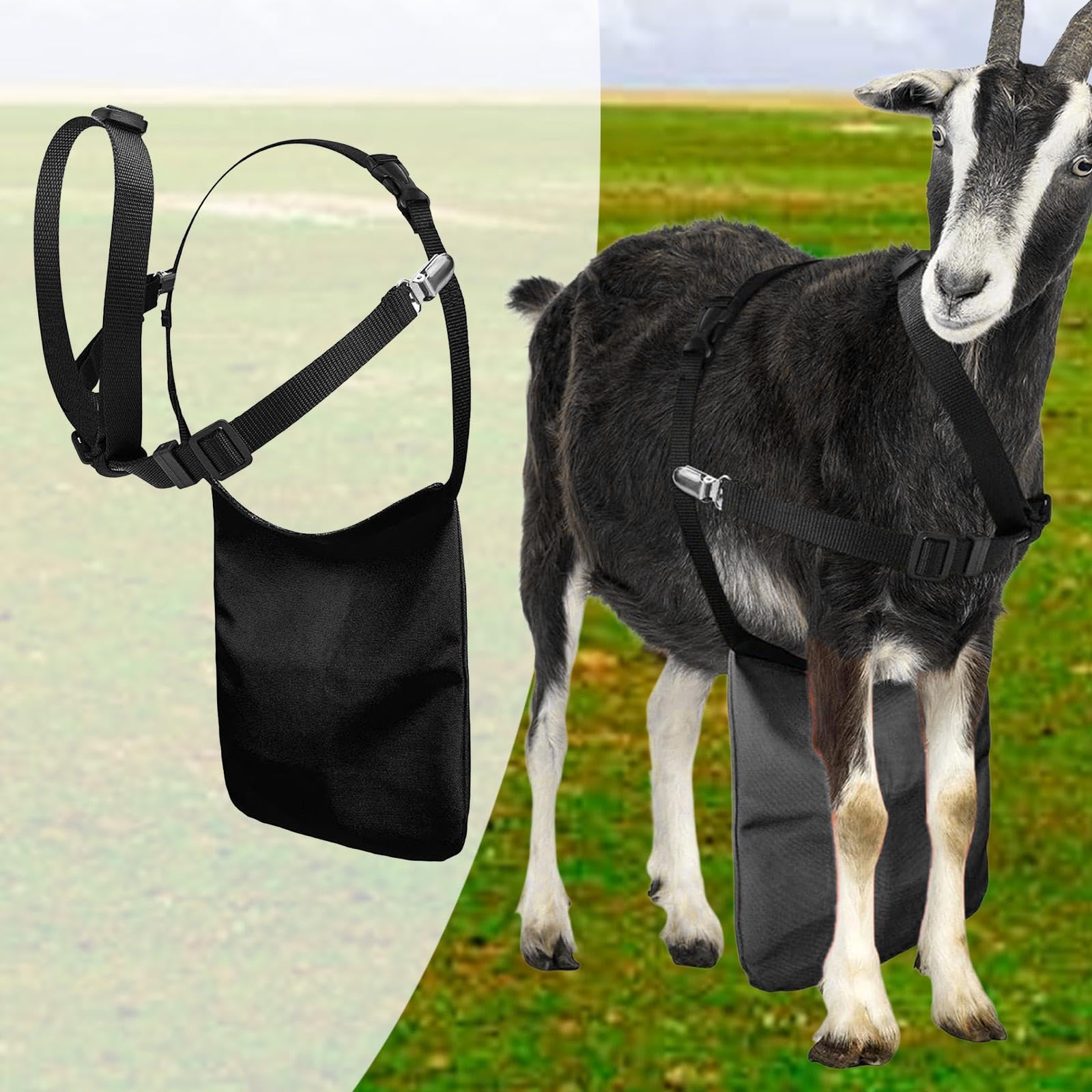 Fenteer Tablier Anti-Reproduction pour chèvres - Accessoire Multifonctionnel - Matériel agricole Pratique et de qualité supérieure - Jupe de contrôle de la