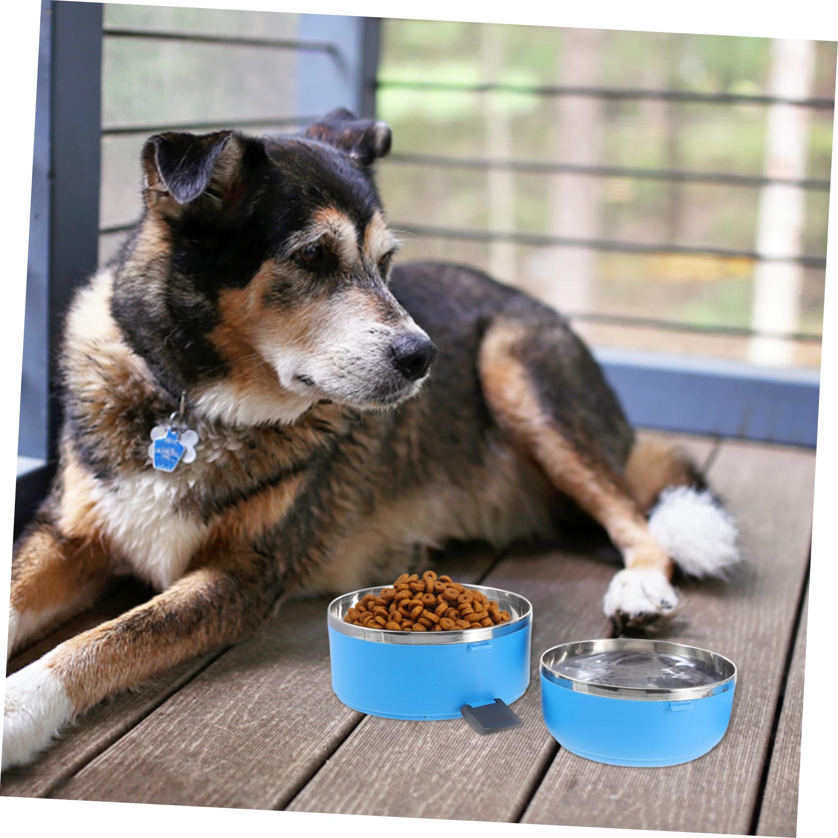 Toyvian Stainless Steel Dog Cat Travel Bowl Portable Pet Feeder with Handle 1400ml Dog Water Bowl for Outdoor Camping