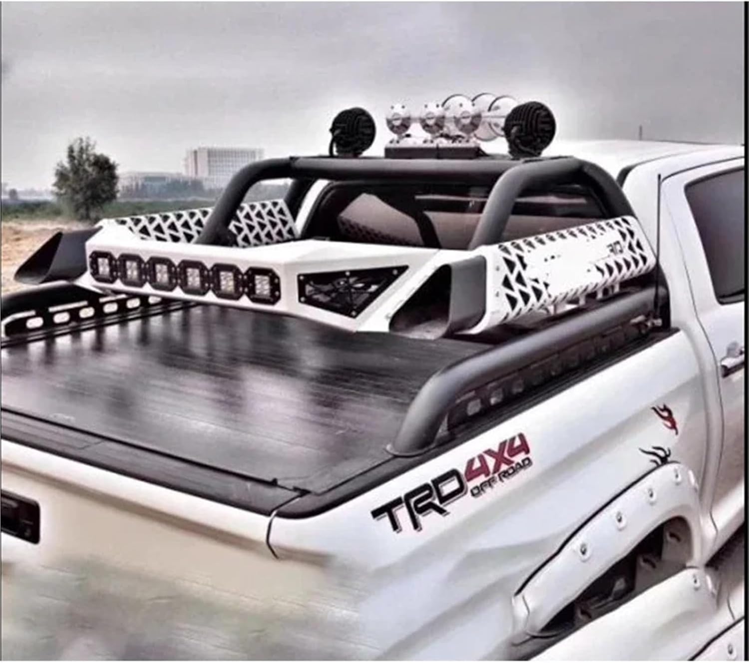 4x4 Accessories Roll Bar Compatible with Ford F150 Raptor