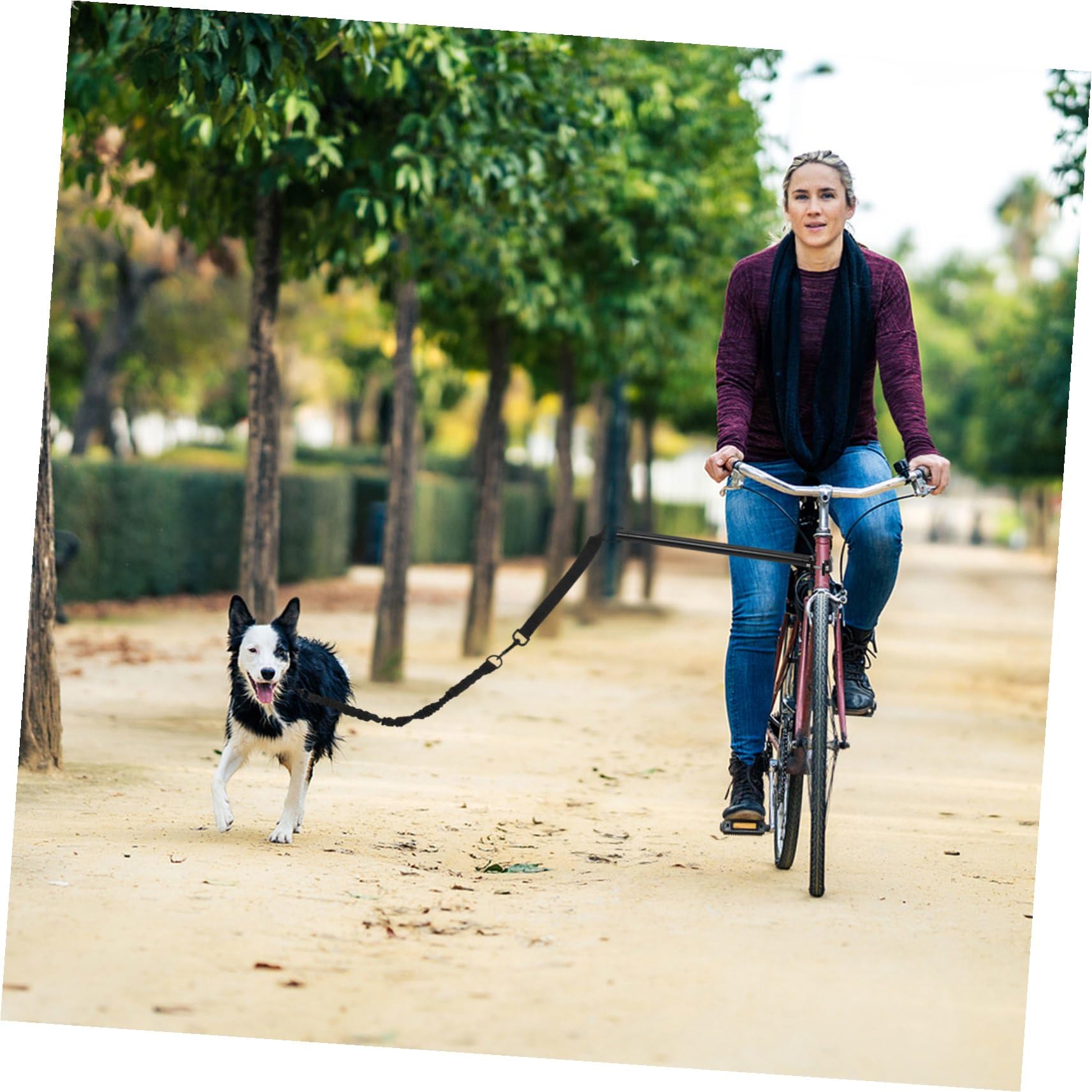 SHINEOFI Guinzaglio da Bici per Cani Staccabile, Tessuto Oxford e Lega, Resistente All’Usura, per Cani Piccoli e Medi, Passeggiate e Allenamento