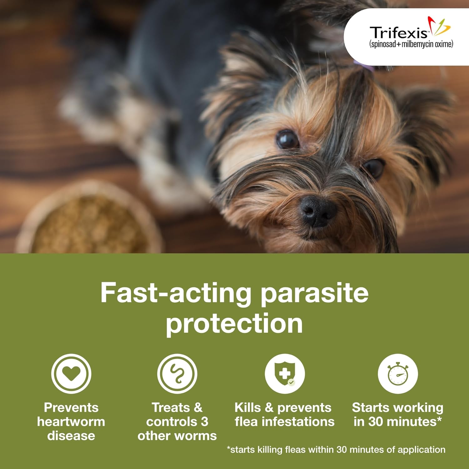 Trifexis Heartworm Prevention | Treats & Controls Flea Infestations + 4 Other Worms | Dogs 5-10 lbs. | 6 Chewables