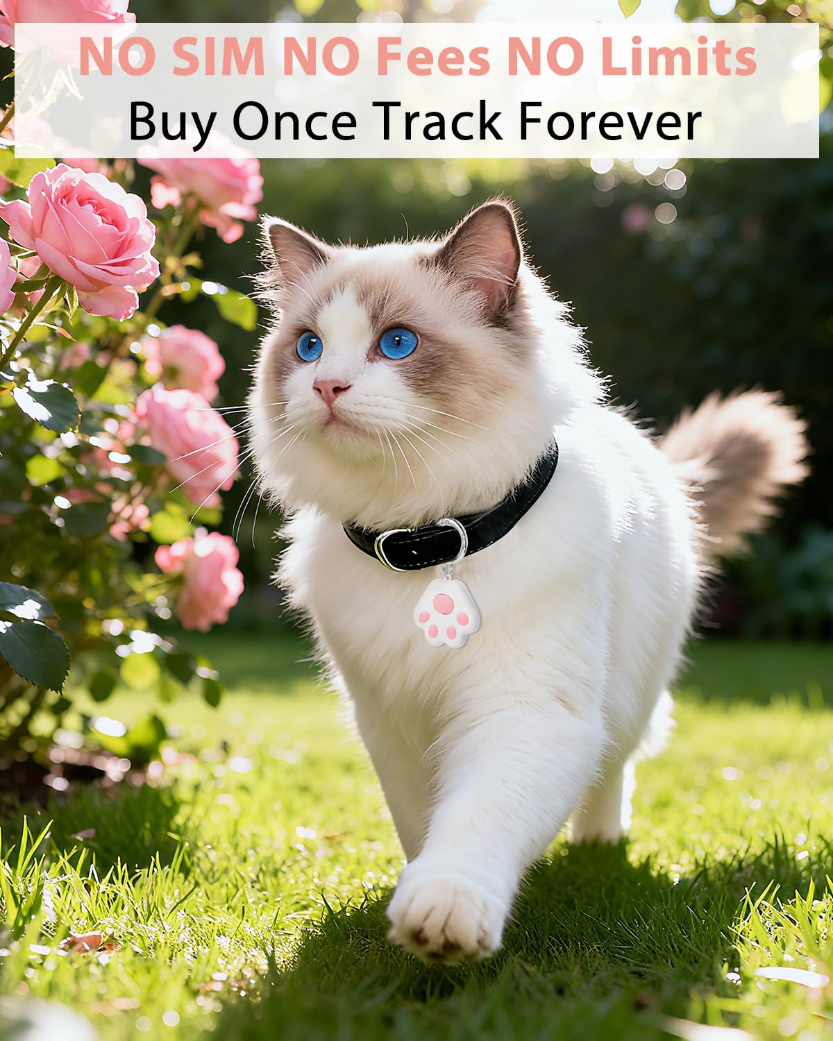 Pet GPS Tracker for Dog and Cat: Dogs and Cats Small Tracking Tag for Android and iOS with No Subscription No Fee - Smart Pets Trackers Waterproof Dustproof Extra Long Usage Life of 180 Days - image 6