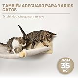 Ver la foto 3