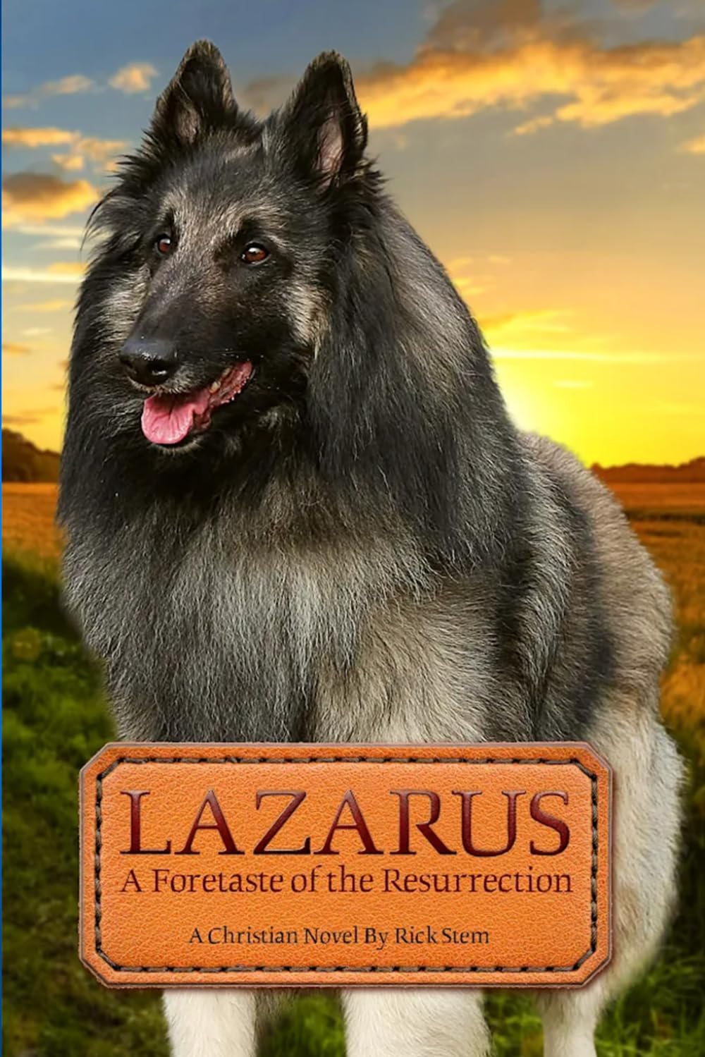 LAZARUS: A Foretaste of the Resurrection