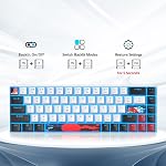 60 Percent Gaming Keyboard 68 Keys Mechanical Keyboard LED Backlit Compact Wired Keyboard with Red Switch for Windows PS4/5 Xbox Gamer(Black-White)