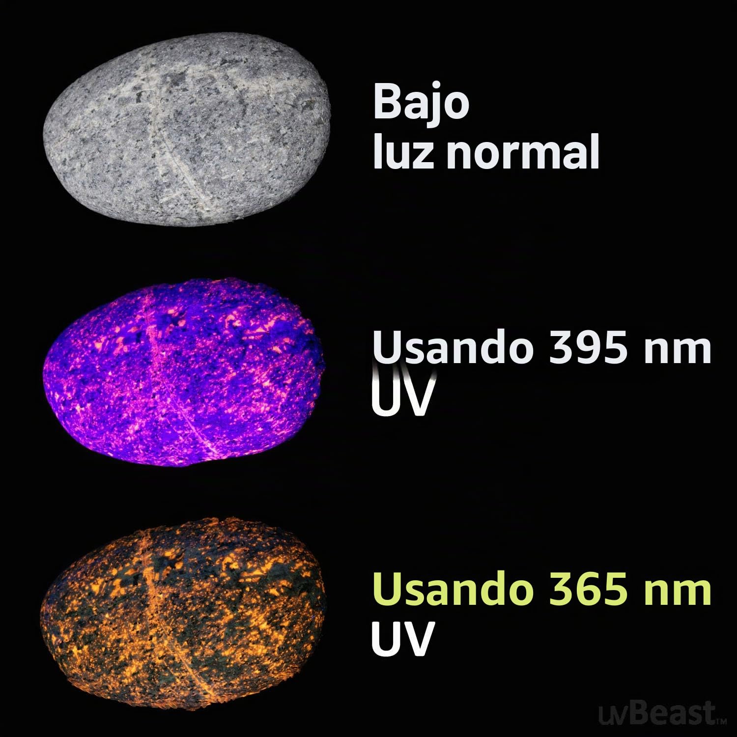 uvBeast Nueva V3 365nm MINI - Linterna UV de luz negra - Ultravioleta pura de alta definición - Grado profesional de alta potencia mejorada 5 núcleos UV LED - Stock de EE. UU