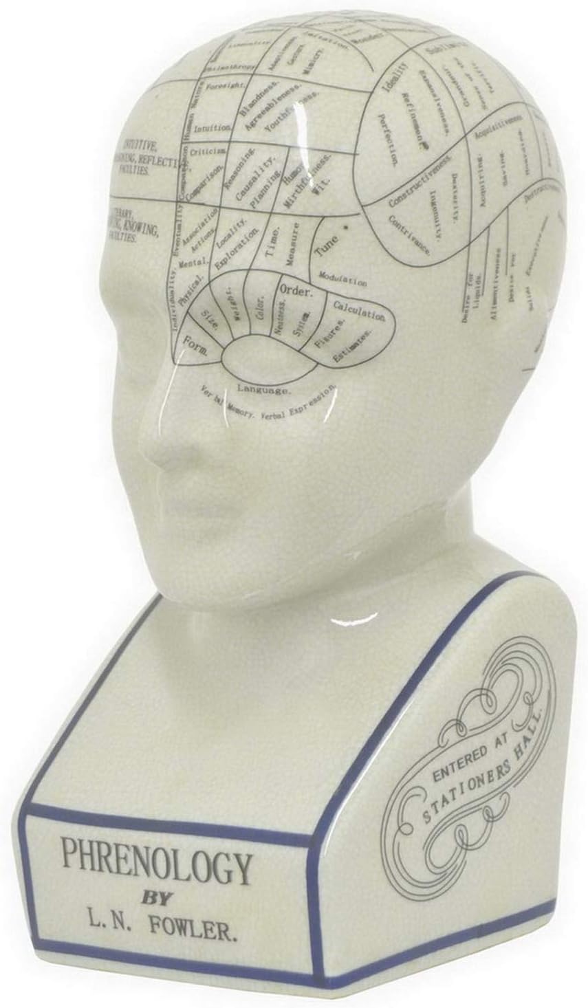 Three Hands 9" Phrenology Head in White