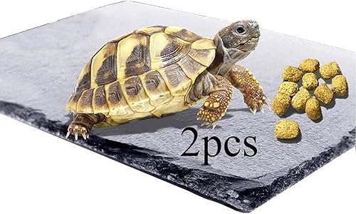 kathson 2 PCS Reptile Basking Platform (15.7 x 11.8 inches), Natural Rock Plate Turtle Food Bowl Feeding Dish Resting Terrace Habitat Decor for Tortoise Turtle Lizard Bearded Dragon Crested Gecko
