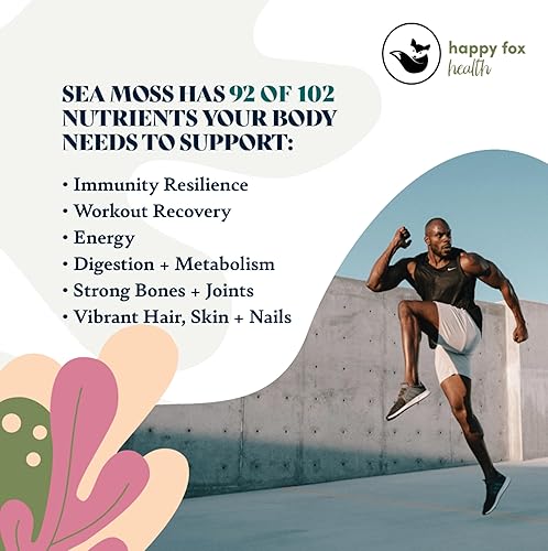 Miniatura 5 de HAPPY FOX Shilajit + paquete de musgo marino crudo, gotas líquidas de moca con shilajit del Himalaya y musgo marino irlandés + musgo marino dorado