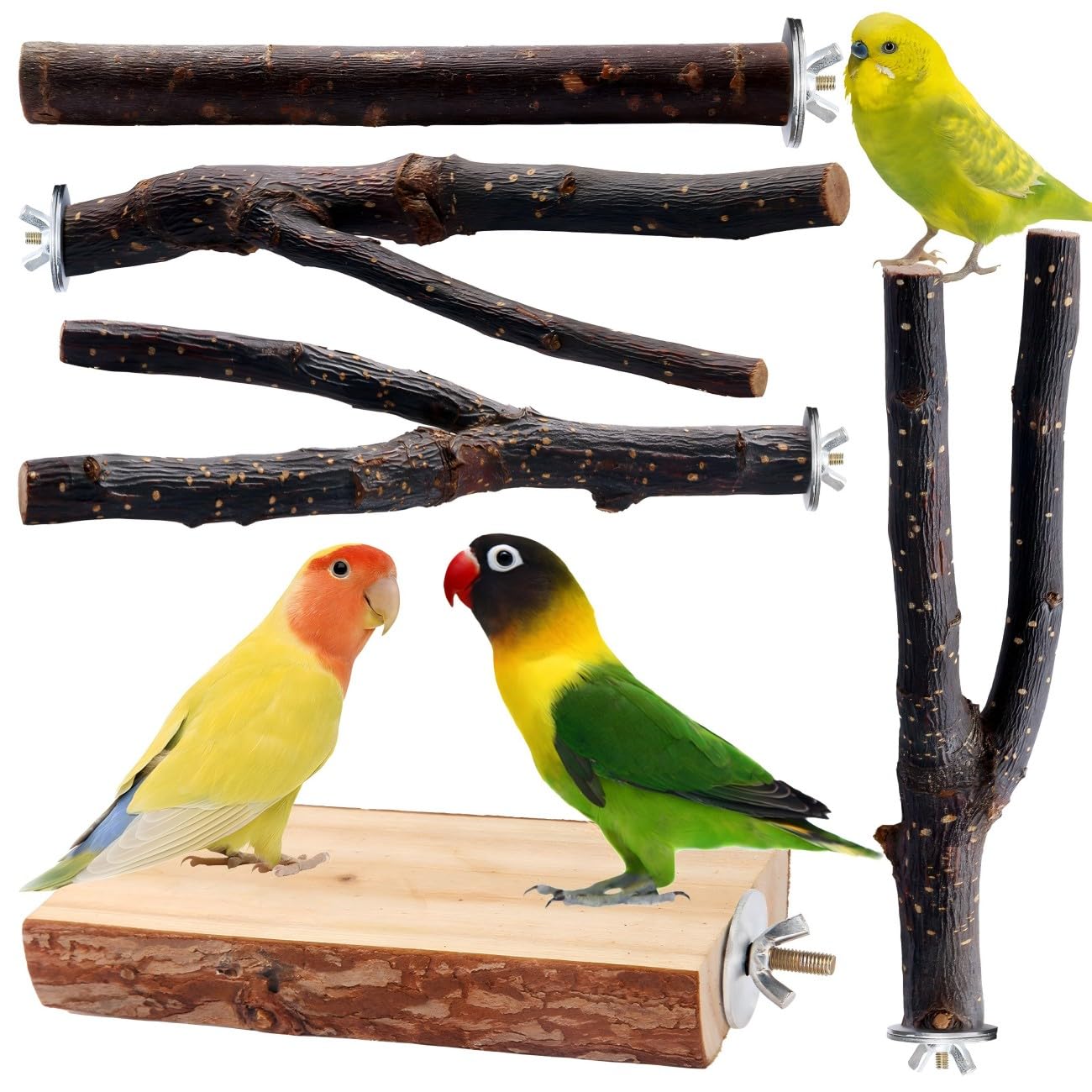 Bird Toys Parakeet Perch Budgie Perch Wood Stand Fork Toys Multi-Branch Perch Platform Toy for Small Conures,Cockatiel,Parrotlet,Lovebird,Parrot,Finches